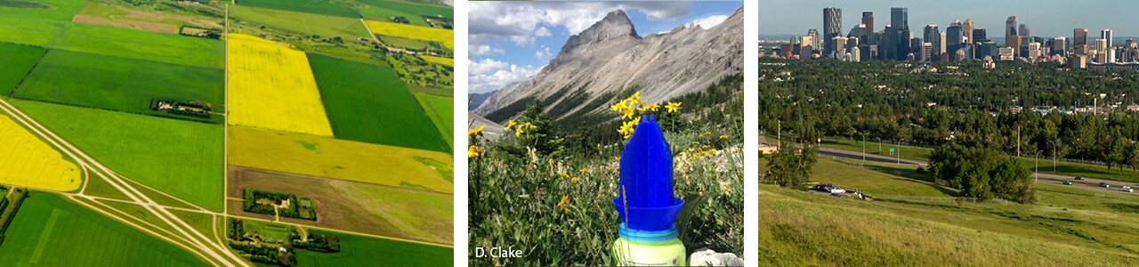 Learn more about our research in landscape ecology, climate change impacts on biodiversity, ecological methods, collaborative science in cities, and our transdisciplinary studies of how people use city parks and streets